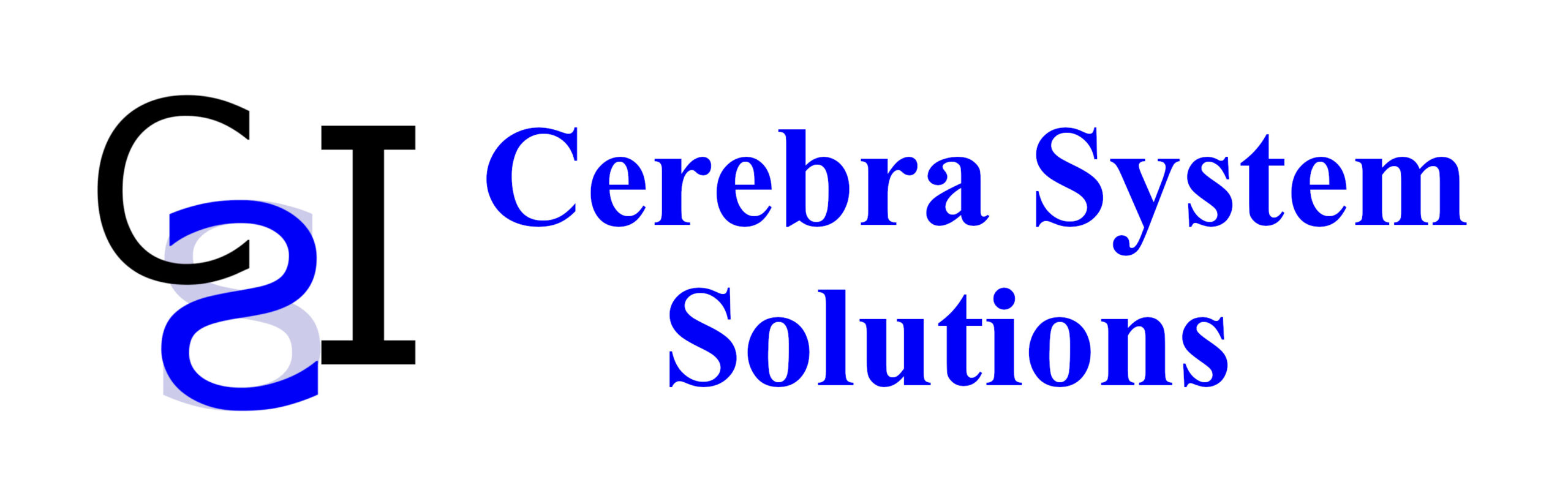 Cerebra System Solutions Inc.